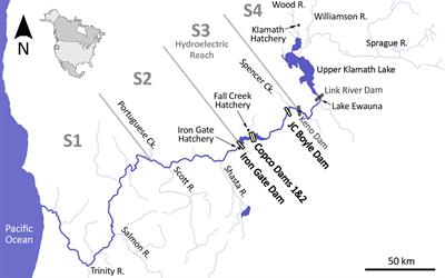 Deconstructing dams and disease: predictions for salmon disease risk following Klamath River dam removals